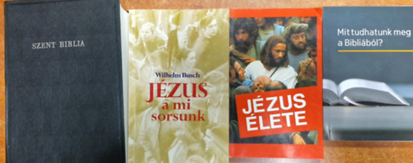 4db Knyv:Szent Biblia,Mit tudhatunk meg a Biblibl?,Jzus lete,Jzus a mi sorsunk