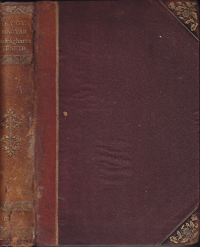 A magyar szabadsgharcz trtnete napi-krnikkban (1848)