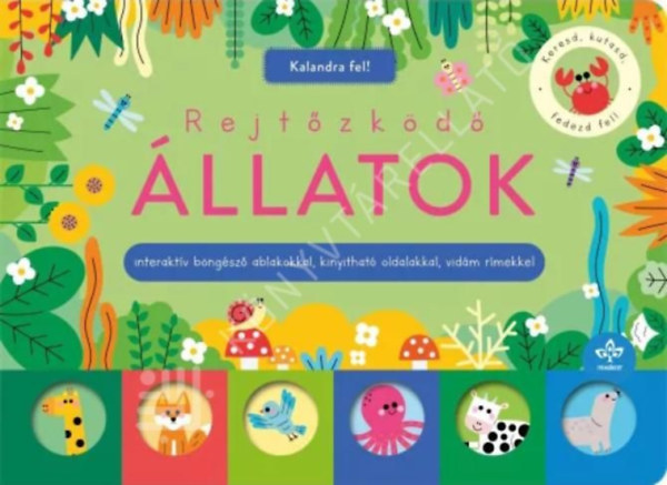 Rejt�zk�d� �llatok - Interakt�v b�ng�sz� ablakokkal, kinyithat� oldalakkal, vid�m r�mekkel