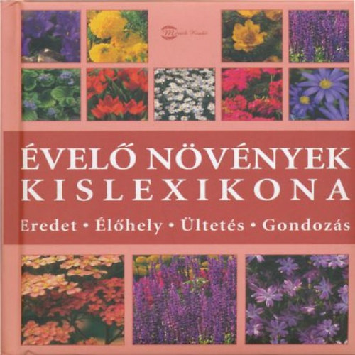 �vel� n�v�nyek kislexikona