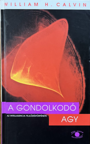 A gondolkod agy