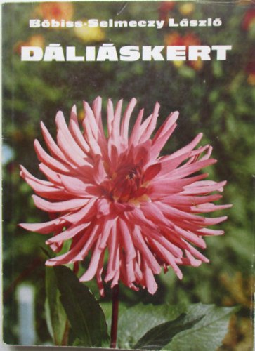 Dliskert