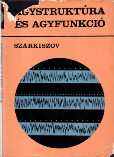 Agystrukt�ra �s agyfunkci�