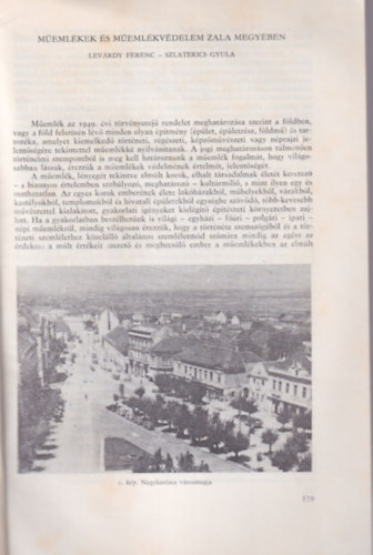 M�eml�kek �s m�eml�kv�delem Zala megy�ben - K�l�nlenyomat