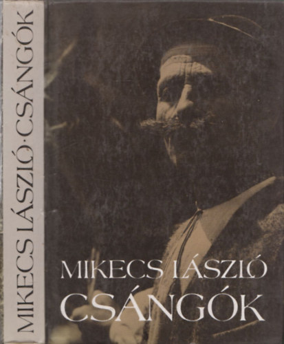 Cs�ng�k (T�rk�pmell�klettel)