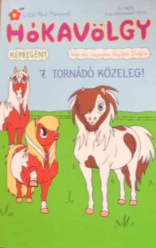 Gykr Zsfia - Hkavlgy 7. - Tornd kzeleg