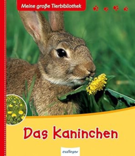 Valérie Tracqui - Meine große Tierbibliothek: Das Kaninchen