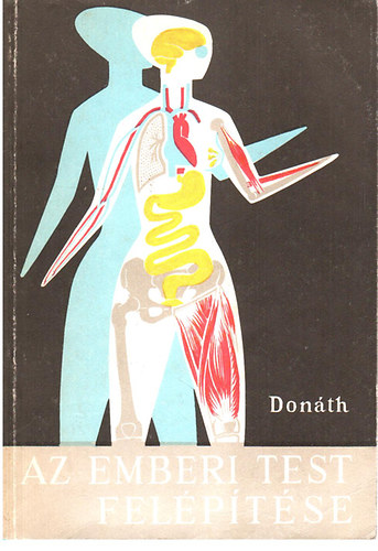 Az emberi test fel�p�t�se