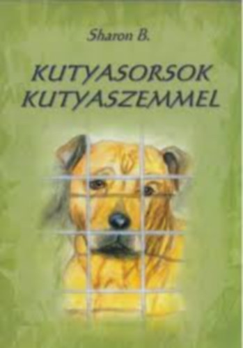 Kutyasorsok kutyaszemmel
