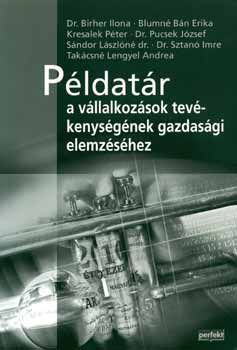 P�ldat�r a v�llalkoz�sok tev�kenys�g�nek gazdas�gi elemz�s�hez