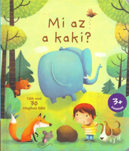 Mi az a kaki?
