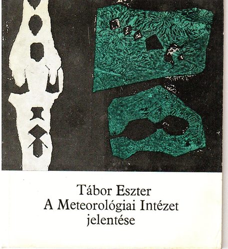 Tbor Eszter - A Meteorolgiai Intzet jelentse