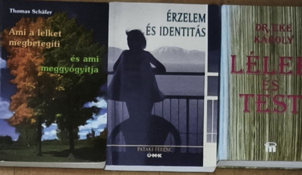 3db �rzelmekkel, lelki �s testi egyens�ly kialak�t�s�val kapcsolatos m� - �rzelem �s identit�s, L�lek �s test, Ami a lelket megbeteg�ti �s ami meggy�gy�tja