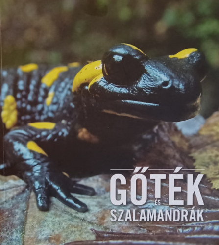 Gtk s szalamandrk