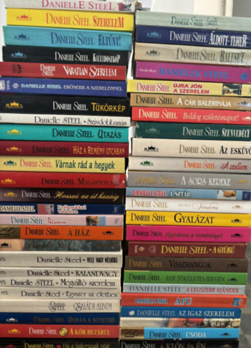 Nicole Hoyt Danielle Steel - 49 db Danielle Steel romantikus ktet