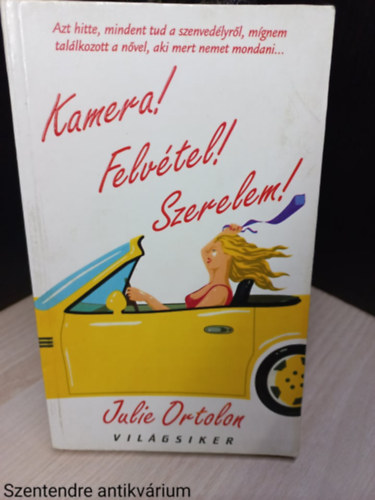 Kamera! Felvtel! Szerelem! (Sajt kppel)