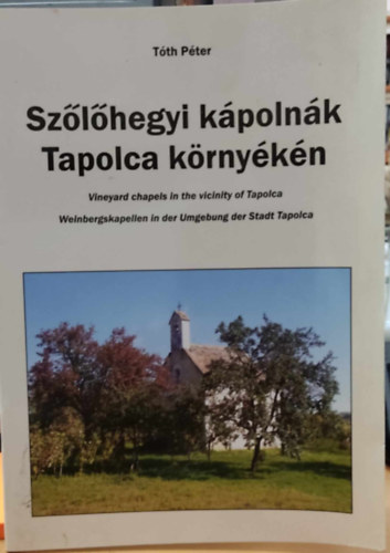 Szlhegyi kpolnk Tapolca krnykn (Tapolcai fzetek 41.)