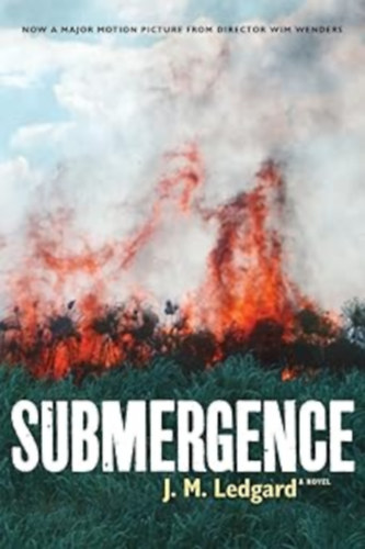 Submergence (Coffee House Press)