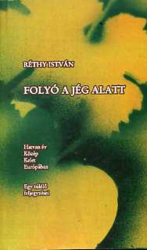 Rthy Istvn - Foly a jg alatt