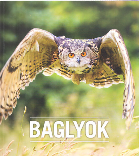 Bajor Zoltn - Baglyok