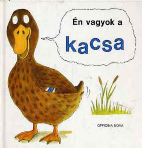 n vagyok a kacsa