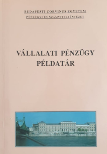 Vllalati pnzgy pldatr