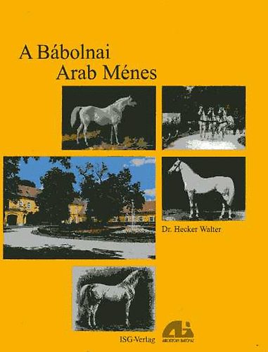 A Bbolnai Arab Mnes