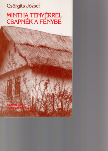 Mintha teny�rrel csapn�k a f�nybe