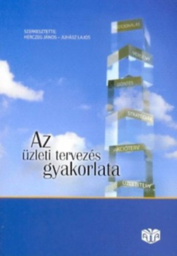 Az zleti tervezs gyakorlata