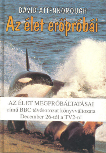 Az �let er�pr�b�i