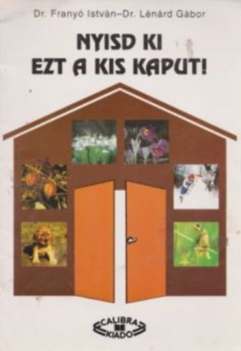 NYISD KI EZT A KISKAPUT