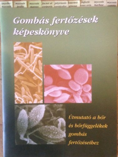 Dr.Podnyi Beta - Gombs fertzsek kpesknyve