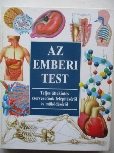 Az emberi test-teljes �ttekint�s szervezet�nk fel�p�t�s�r�l �s m�k�d�s