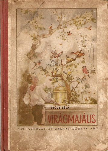 Virgmajlis