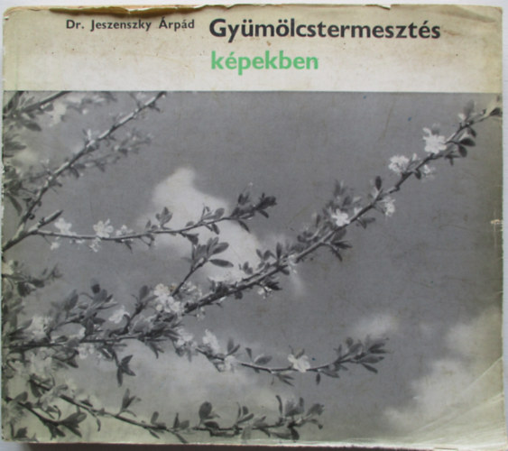 Gy�m�lcstermeszt�s k�pekben