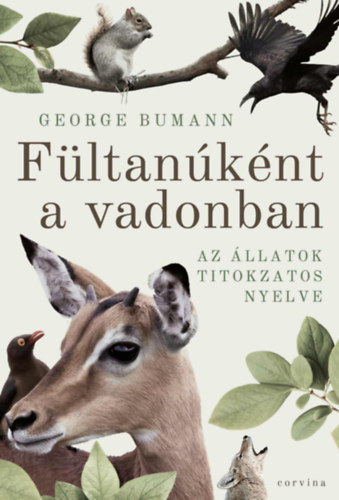 Fltanknt a vadonban