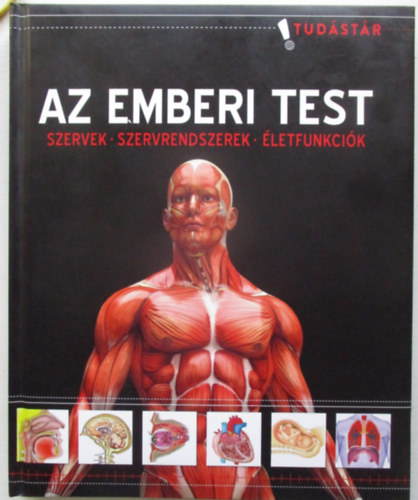 Az emberi test - Szervek - Szervrendszerek - letfunkcik