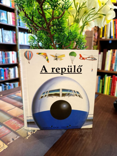 A rep�l� (Var�zslapok)