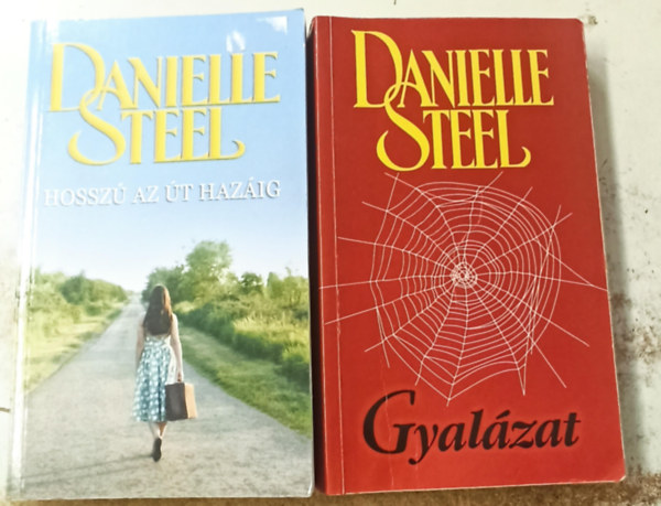 2 db Danielle Steel: Hossz az t hazig +Gyalzat