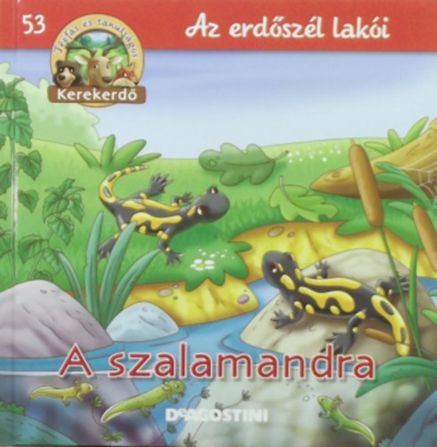 A szalamandra - Az erd�sz�l lak�i (Kerekerd�)