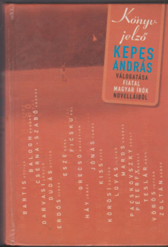 Kepes Andrs  (vlogatta) - Knyvjelz - Kepes Andrs vlogatsa fiatal magyar rk novellibl