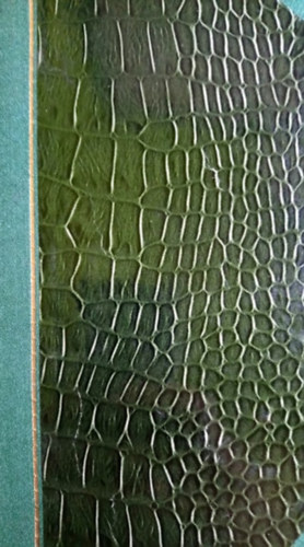 Moldvaparti eml�kk�nyv