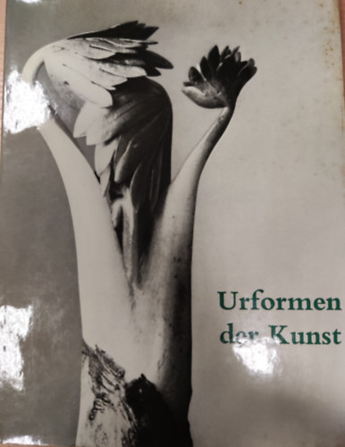 Karl Nierendorf - Urformen der kunst