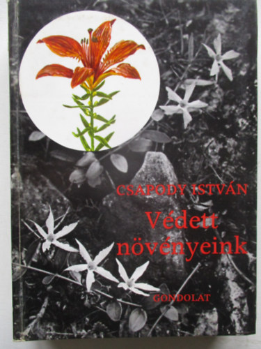 Vdett nvnyeink