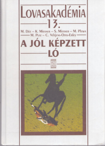 A jl kpzett l (Lovasakadmia 13.)