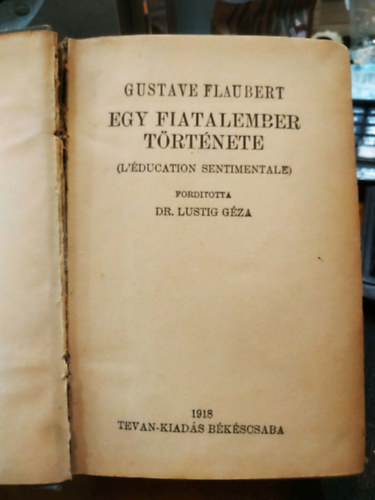 Gustave Flaubert - Egy fiatalember t�rt�nete