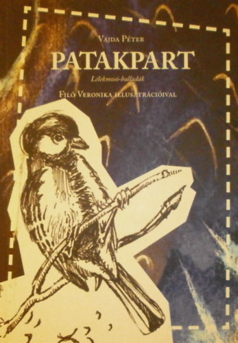 Vajda Pter - Patakpart