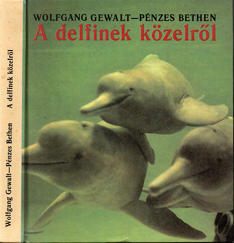 Wolfgang Gewalt-Pnzes Bethen - A delfinek kzelrl