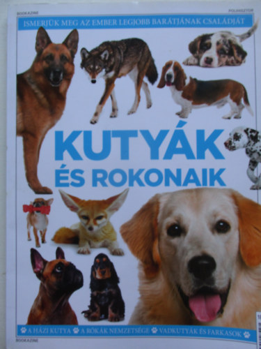 Kutyk s rokonaik