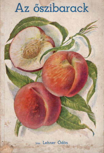 Az �szibarack (Lehner)